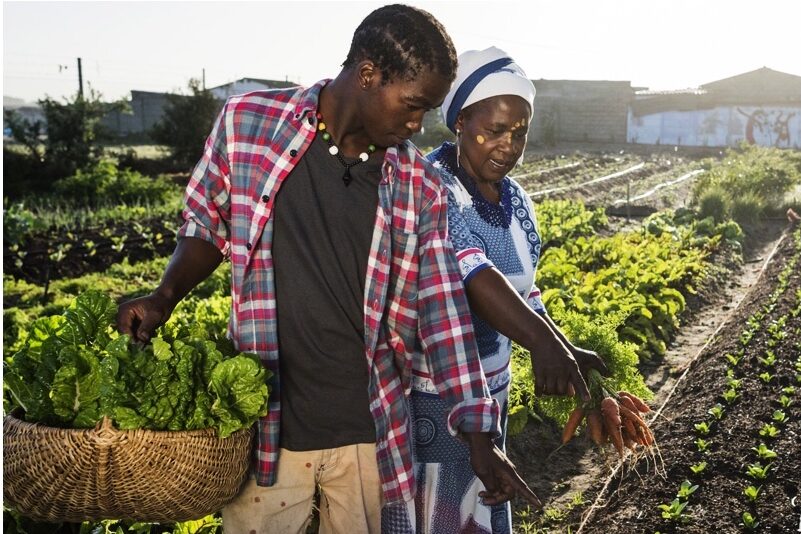 Mozambican farmers - supported by APOIO